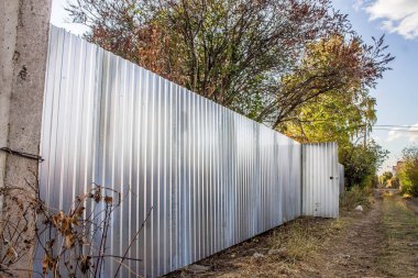 Bahçedeki parlak çit