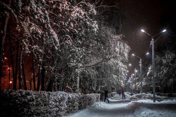 Snow Park Zimě Noci — Stock fotografie