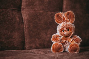 yumuşak oyuncak, koltuk süet yüzeyinde oturan peluş kahverengi tavşan, görüntü çocuk siteleri dekorasyon için kullanılabilir, bir oyuncak mağazası için