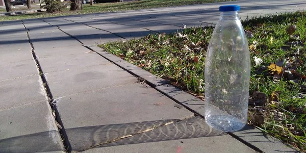 plastik şişe parlak bir yaz gününde parkta yolda