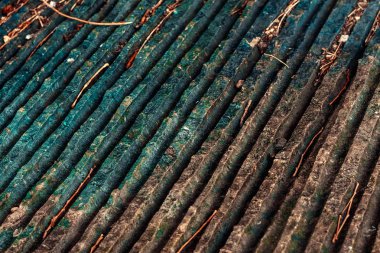 antik kabilelerin zaman antik taş güzel doku; yüzeyde ağaç dalları vardır