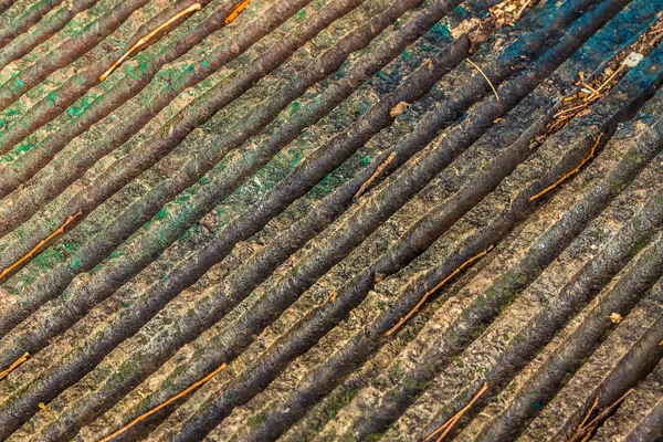 antik kabilelerin zaman antik taş güzel doku; yüzeyde ağaç dalları vardır