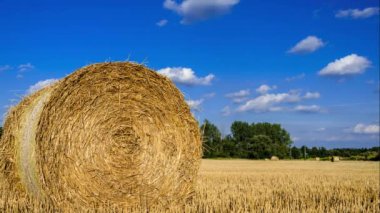 Buğday alanı üzerinde uçan güzel bulutlar doğal görüntüleri, zaman atlamalı