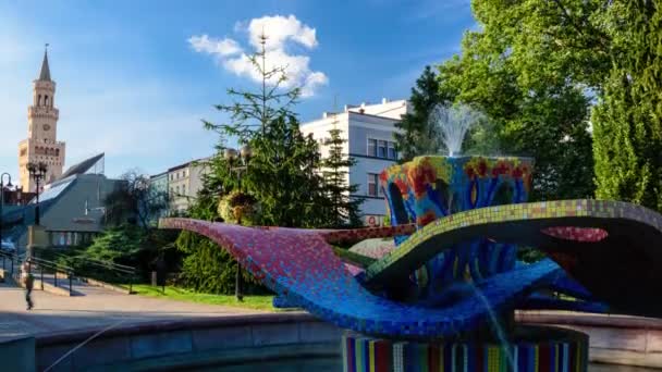 Vue Imprenable Sur Opole Mairies Sur Fond Fontaine Par Une — Video