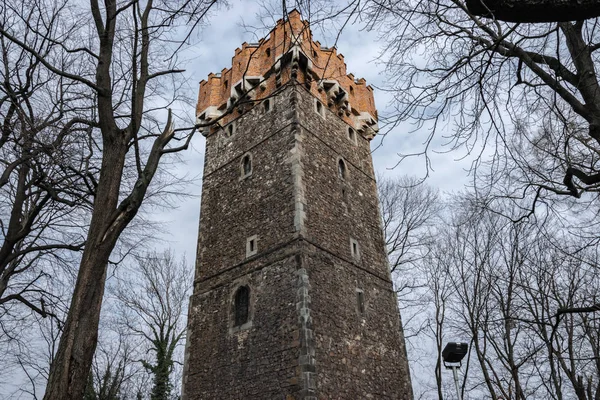 Spodní Pohled Piastskou Věž Regionu Cieszyn Polsko — Stock fotografie