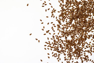 beyaz üzerinde izole tohum üst görünümü çekim