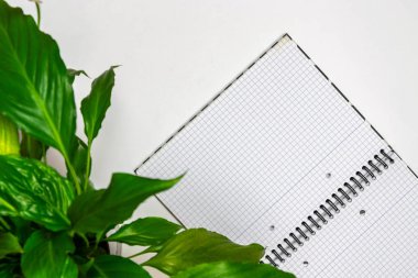 Dizüstü bilgisayarile beyaz arka planda üst düzey çalışma alanı maket 