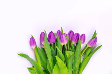 Masaüstü işyeri tasarımcı, sanatçı Üstten Görünüm 