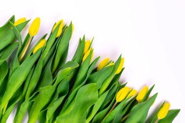 Masaüstü işyeri tasarımcı, sanatçı Üstten Görünüm 