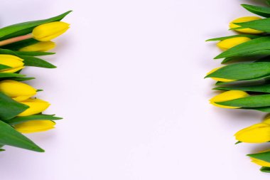 Masaüstü işyeri tasarımcı, sanatçı Üstten Görünüm 