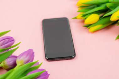 Pembe arka planda mor ve sarı laleler ve siyah akıllı telefon buketi. Üst te. Kopya alanı. Sunu şablonu.