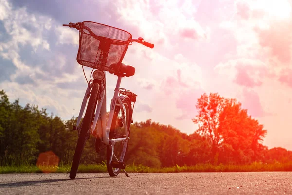 Silhouette of a bike in the forest at sunset. Bicycle and ecology lifestyle concept.