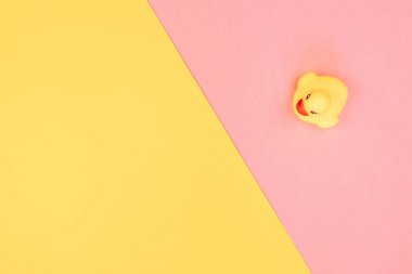 Renkli arka planda kauçuk banyo ördeği. Oyuncak kauçuk ördek üzerinde üst görünümü. Çocuk ördek yüzen için oyuncak oynamak. Pembe, sarı arka plan.