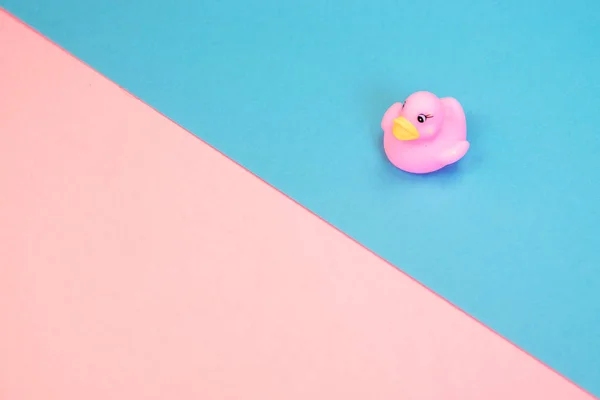 Rubber Bad Eend Kleurrijke Achtergrond Top Uitzicht Toy Rubber Duck — Stockfoto