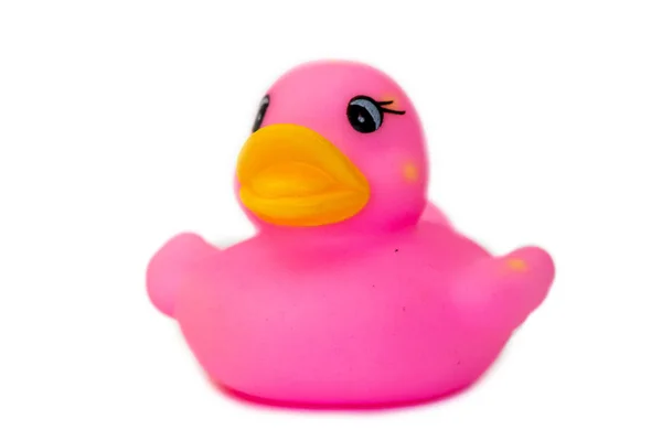 Rubber Bath Duck Isolated White Side View Pink Rubber Duck — Stock Photo, Image