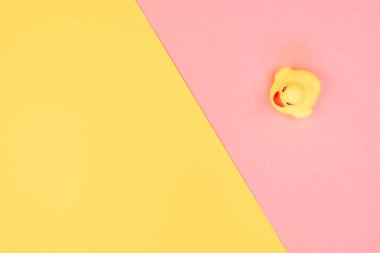 Renkli arka planda kauçuk banyo ördeği. Oyuncak kauçuk ördek üzerinde üst görünümü. Çocuk ördek yüzen için oyuncak oynamak. Pembe, sarı arka plan.