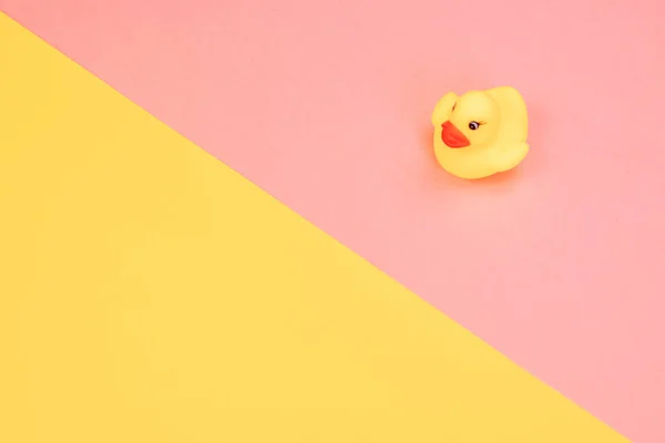 Rubber Bad Eend Kleurrijke Achtergrond Top Uitzicht Toy Rubber Duck — Stockfoto