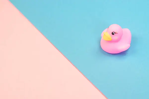 Rubber Bad Eend Kleurrijke Achtergrond Top Uitzicht Toy Rubber Duck — Stockfoto