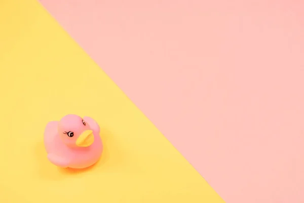 Rubber Bad Eend Kleurrijke Achtergrond Top Uitzicht Toy Rubber Duck — Stockfoto