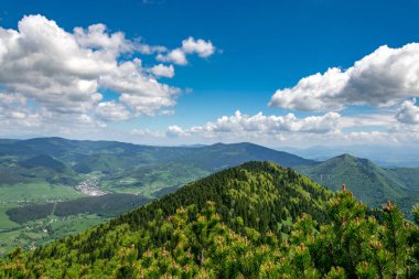 Slovakya'da Mala Fatra dağlarında Steny ve Poludnovy grun tepeler arasında alt dağ sırtı ile Velky Rozsutec kayalık dolomitian tepeler