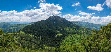 Slovakya'da Mala Fatra dağlarında Steny ve Poludnovy grun tepeler arasında alt dağ sırtı ile Velky Rozsutec kayalık dolomitian tepeler