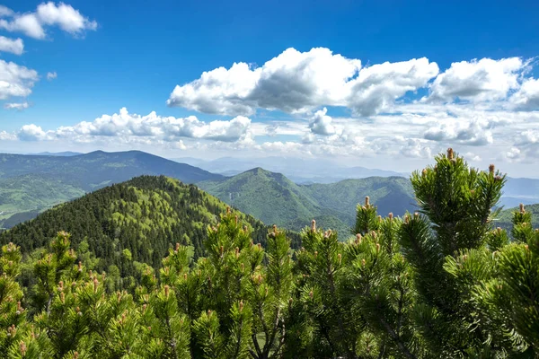 Velky Rozsutec Rocky Dolomitian Hills Lower Mountain Ridge Steny Poludnovy Royalty Free Stock Images