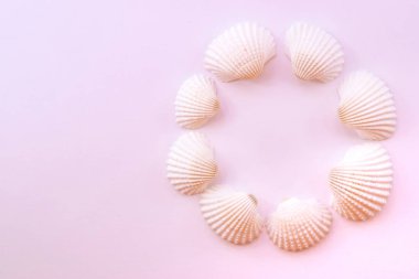 Yaratıcı düz kopyalama alanı ile fotoğraf yatıyordu. Pembe arka plan üzerinde izole deniz kabukları kolaj. Düz yatıyordu. Yukarıdan görüntüle. 