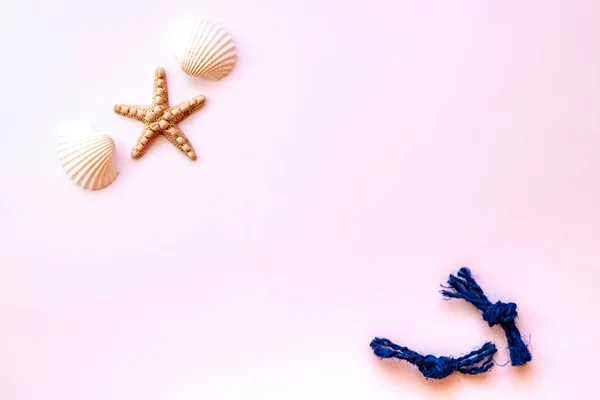 Seashells, sea ropes and starfish on pink background. Top view. Summer flat lay background, travel concept. — Stock Photo, Image