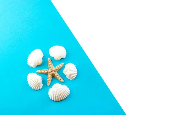 Seashells and starfish on blue background. Top view. Summer flat lay background, travel concept. — Stock Photo, Image