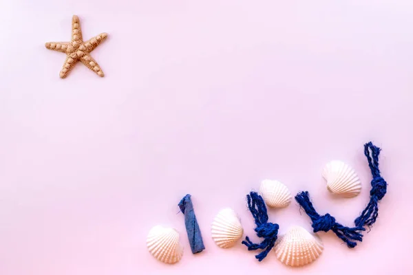 조개, 바다 밧줄과 분홍색 불가사리와 여름 배경. 여름 방학 컨셉. — 스톡 사진