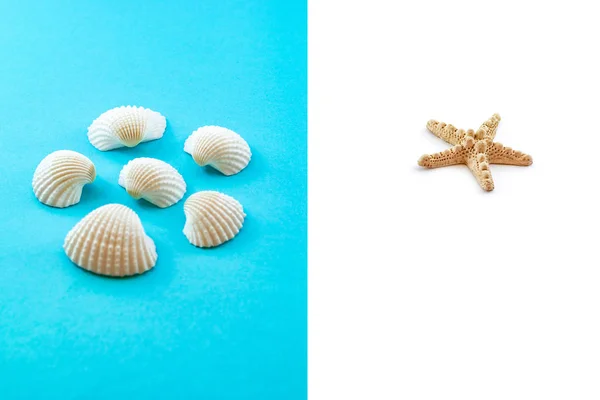Seashells and starfish on blue background. Top view. Summer flat lay background, travel concept. — Stock Photo, Image
