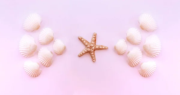 Starfish and seashells on a delicate pink background. Summer background. Tropical summer vacation concept. — Stock Photo, Image
