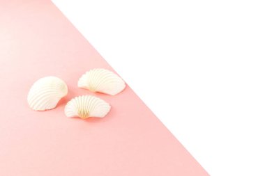 Yaz tropikal tatil arka plan. Pembe arka planda beyaz deniz kabukları. Kopya alanı, üst görünüm. 
