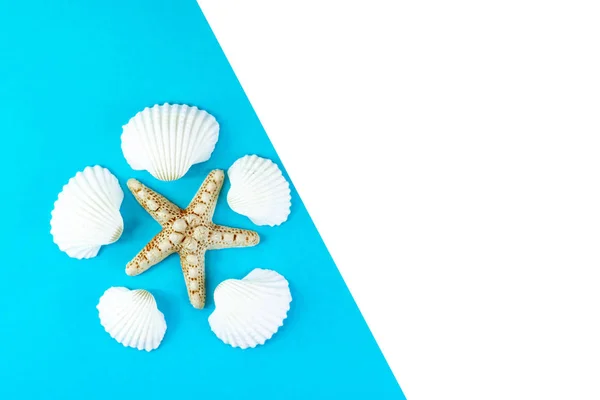 Summer tropical vacation background. Starfish surrounded by white seashells on a blue background. Copy space, top view. — Stock Photo, Image