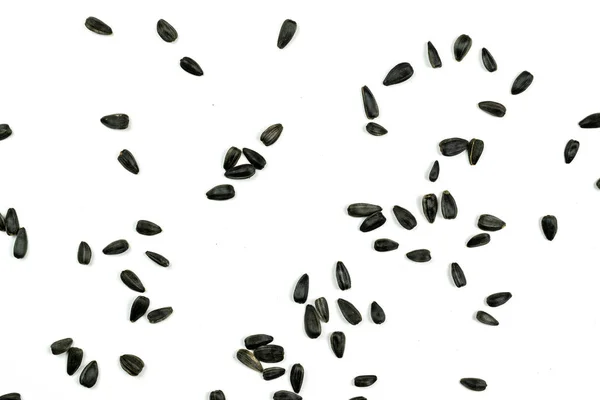 Семена подсолнечника, фон или текстура изолированы на белом. lose-up . — стоковое фото