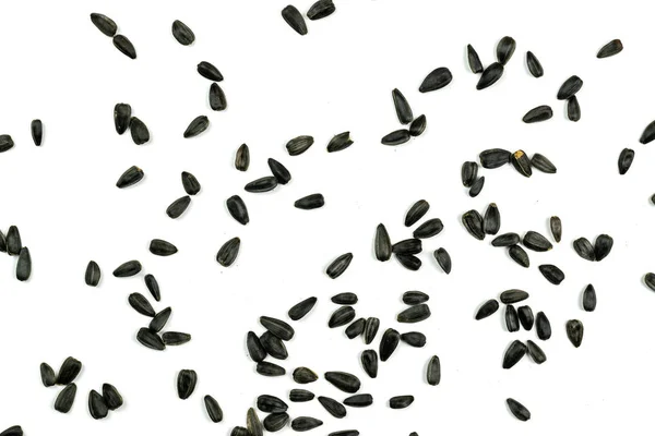 Sunflower seeds, background or texture isolated on white. lose-up. — Stock Photo, Image