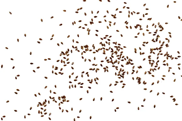 Sementes de linho, linhaça castanha. Fundo ou textura de sementes de linho close-up. Vista superior — Fotografia de Stock