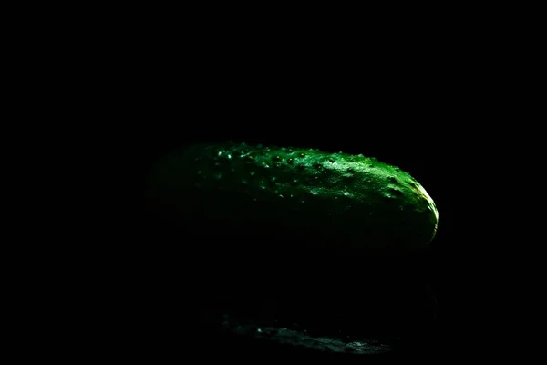Pepino crudo, fresco y verde aislado sobre fondo negro para ensalada. Concepto de alimentación saludable . —  Fotos de Stock