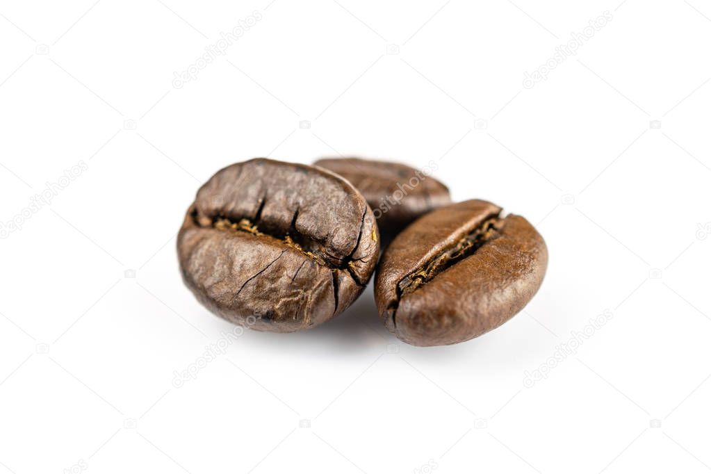 Three shiny fresh roasted coffee beans isolated on white background. Coffee background or texture concept.