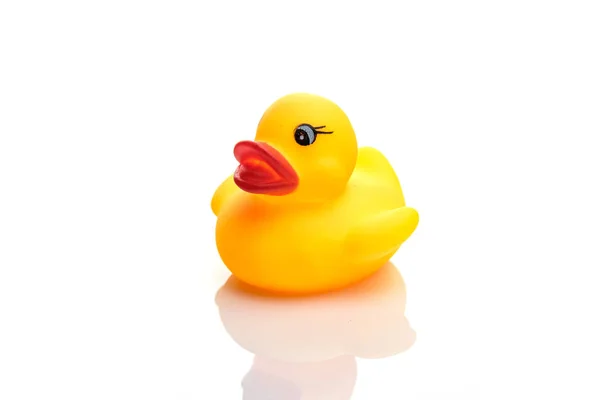 Rubber duck isolated. Yellow plastic toy in bathroom.