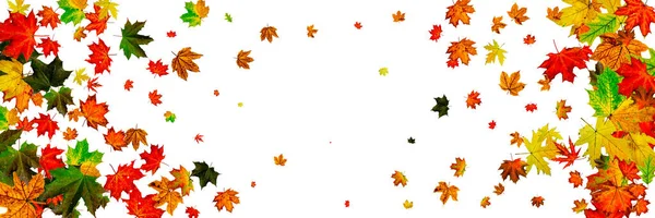 El otoño deja viento. Noviembre cayendo fondo patrón. Concepto de temporada — Foto de Stock