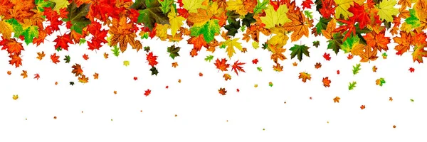 Herbstlaubmuster. Herbst Oktober Hintergrund. Dankbarkeit — Stockfoto