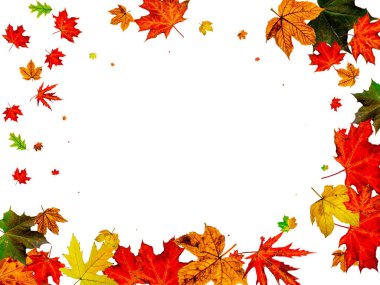 Sonbahar rüzgarı. Kasım düşüş düzeni arka planı. Sezon konsepti