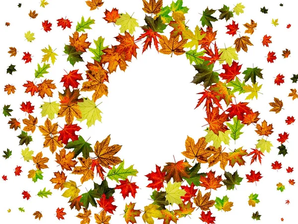 Autumn landscape. Season pattern isolated on white background. Thanksgiving concept — Stock Photo, Image