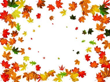 Sonbahar sınırı terk eder. Ekim Şükran Günü şablonu beyaz arka planda izole edilmiş. Düşen yapraklar kavramı