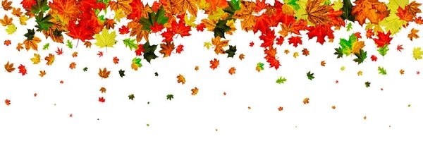 El otoño deja el borde. Octubre patrón de acción de gracias aislado en w — Foto de Stock