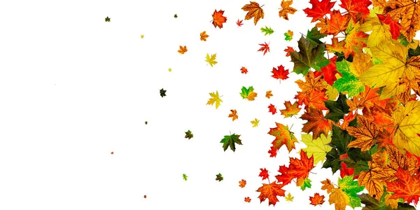 Hojas de otoño en el suelo. Noviembre cayendo fondo patrón. Concepto de temporada de Acción de Gracias —  Fotos de Stock