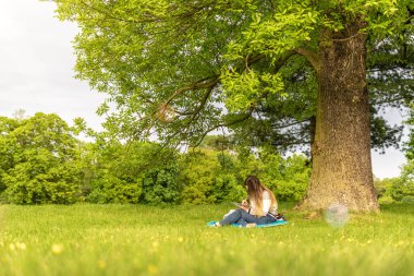 Laptop, bilgisayar işi teknolojisi. Yazlık doğa parkında tablet üzerinde çalışan öğrenci kız. Dışarıdaki insanlar. Kadın internette çalışıyor. Mutlu hipster gençlik öğrenme konsepti.