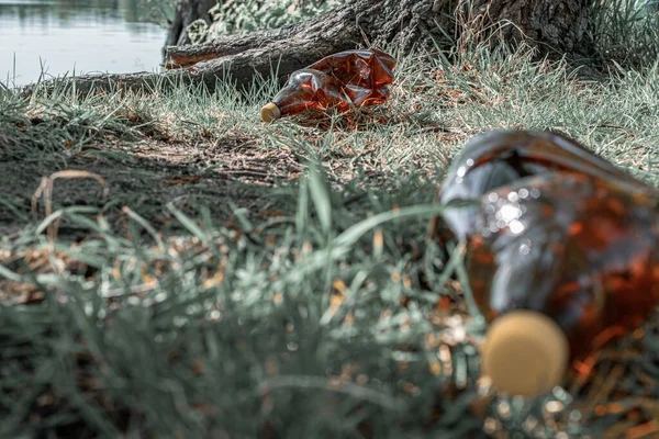 Plastflaska. Avfall i skog och miljö. Skräp skräp i skogen. Rädda naturen Ekologi och föroreningar. — Stockfoto