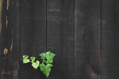 Arkaplan ahşabı. Eski ahşap şablon. Vintage grunge duvar kağıdı için kereste yüzey duvarı. Fotokopi alanı olan siyah tahılı masa. Doğal malzeme arkaplanı